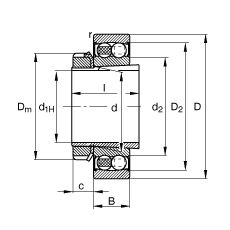 Ե 2210-K-2RS-TVH-C3 + H310,  DIN 630  DIN 5415 ׼Ҫߴ, ׶׺ͽףഽܷ